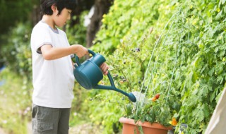 空调冷凝水在农业灌溉中的应用，能否用于浇花浇菜？